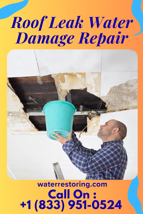 Roof Leak Water Damage Repair in Donnellson, IL